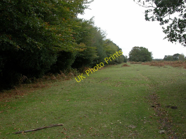 Photo 6"x4" Holmsley, boundary Ossemsley c2010