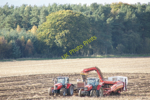Photo 6"x4" Lifting tatties, Burnside Farm, Stanley Stanley\/NO1033 c2010