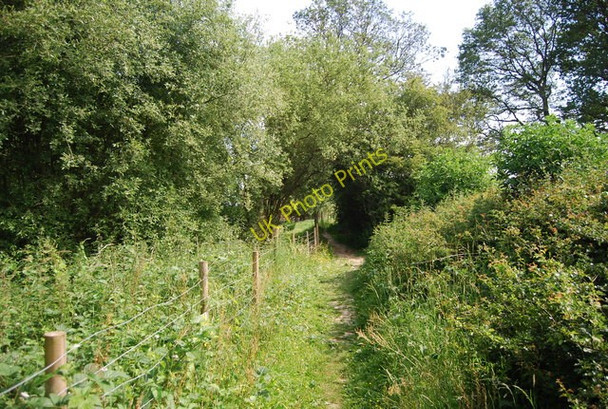 Photo 6"x4" Footpath west of Bough Beech Reservoir Winkhurst Green c2010