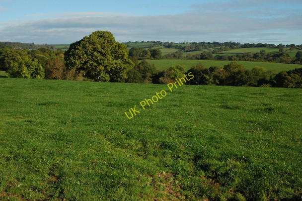 Photo 6"x4" Farmland near Llangattock Lingoed Llangattock Lingoed c2010