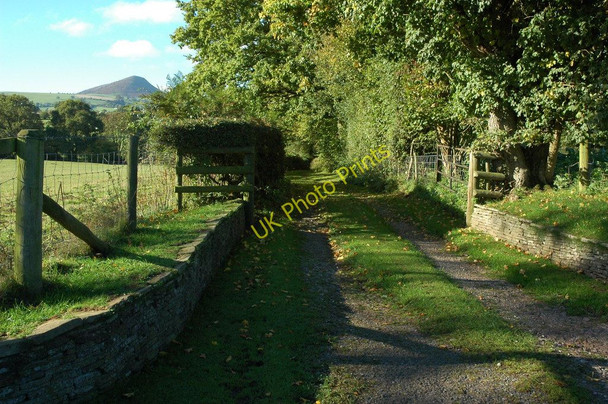 Photo 6"x4" Track entrance and Ysgyryd Fawr Llangattock Lingoed c2010