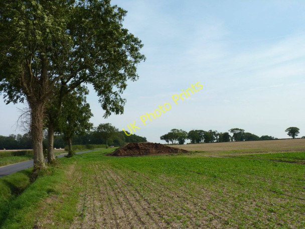 Photo 6"x4" Tree-lined road Rush Green\/TG0706 c2010