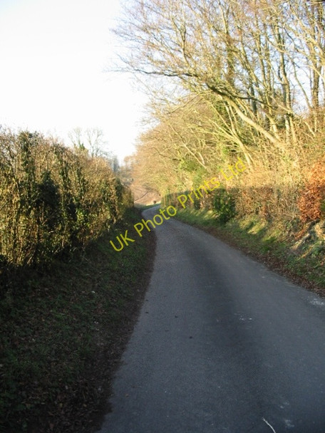 Photo 6"x4" View NW along Singledge Lane Coldred c2007