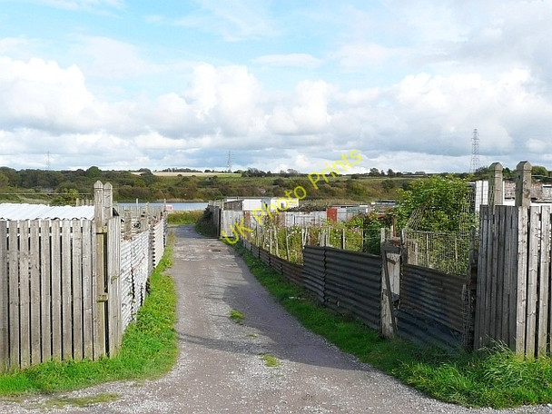 Photo 6"x4" Path through Northside allotments Workington c2010