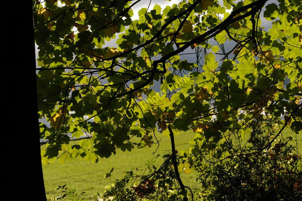 Photo 6"x4" Looking south out of Cuckoo Wood Hazelwood\/TQ4461 c2010