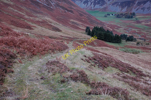 Photo 6"x4" Old track above Glenrath Langhaugh\/NT2031 c2010