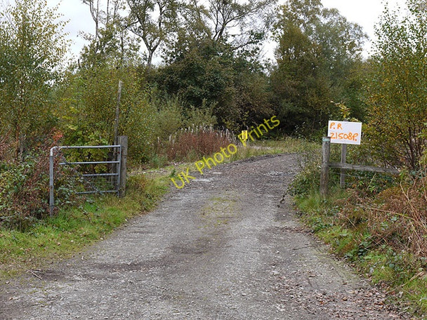 Photo 6"x4" Forestry entrance Dolgellau c2010
