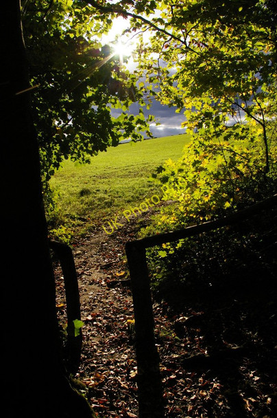 Photo 6"x4" Looking out of Cuckoo Wood Hazelwood\/TQ4461 c2010