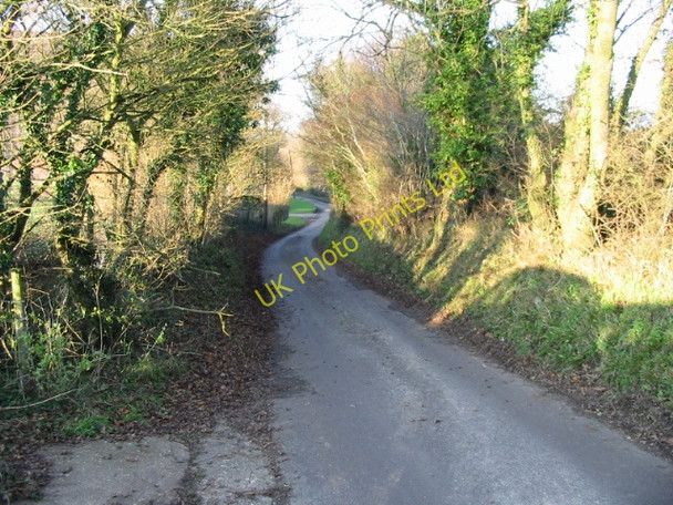 Photo 6"x4" View along Singledge Lane Coldred c2007