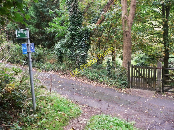Photo 6"x4" Bayr ny Skeddan (Herring Road on Isle of Man) (24) Glen Maye\/SC2379 c2010
