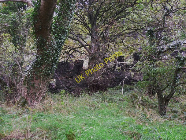 Photo 6"x4" Bayr ny Skeddan (Herring Road on Isle of Man) (37) Glen Maye\/SC2379 c2010