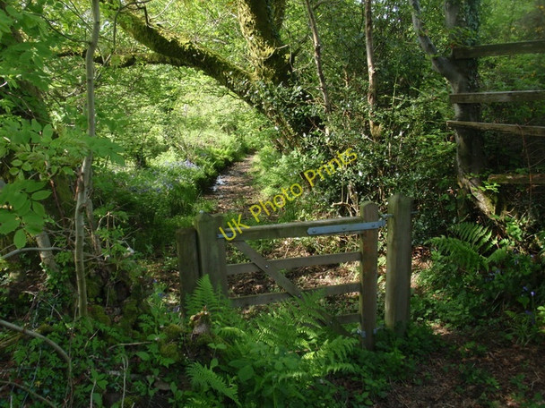 Photo 6"x4" Llwybr Melin Coed Cyw Mill Footpath, Llannon Llannon c2010