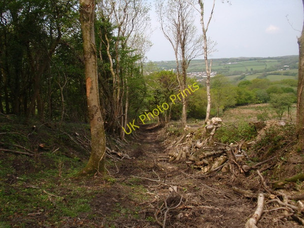Photo 6"x4" Llwybr Coed Mawr \/ Coed Mawr footpath Pentre\/SN5010 c2010