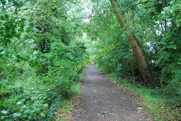 Photo 6"x4" Thames Path, Syon Reach Brentford c2010
