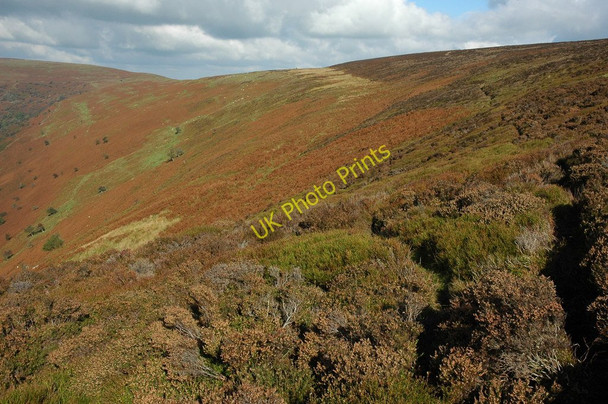 Photo 6"x4" Hatterrall Hill Cwmyoy c2010