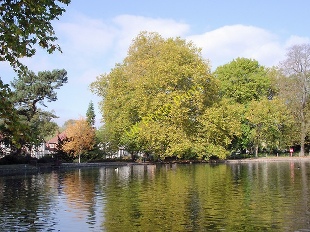 Photo 6"x4" The boating lake at West Park, Wolverhampton Wolverhampton c2010