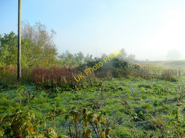 Photo 6"x4" Autumnal field edge Highnam Green c2010