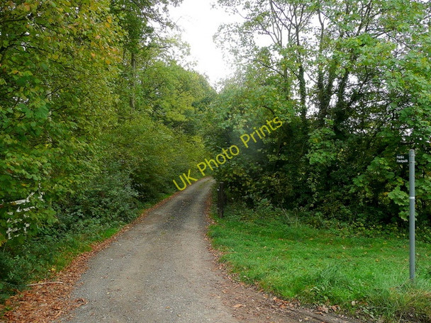 Photo 6"x4" Footpath into Prior's Wood Rudford c2010