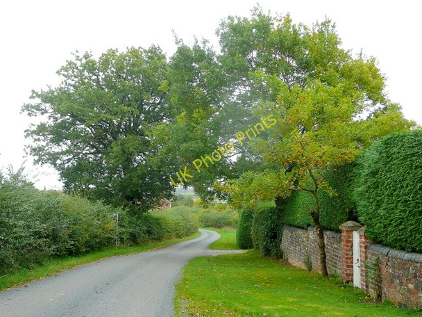 Photo 6"x4" Whitehall Lane Rudford c2010