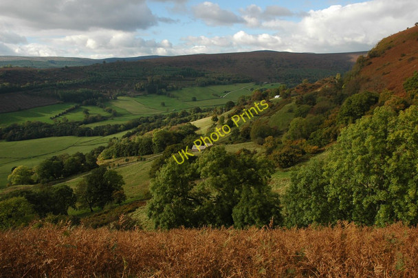 Photo 6"x4" Hillside above Cwmyoy Cwmyoy c2010