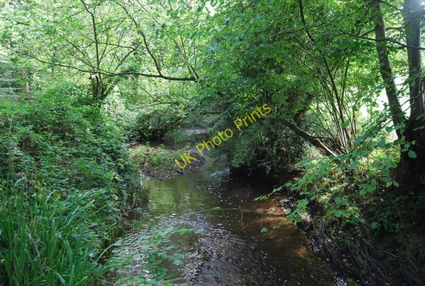 Photo 6"x4" Stream near the Southborough Viaduct High Brooms c2010