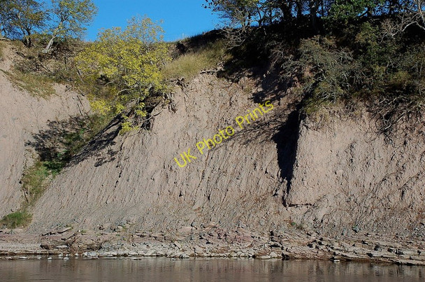 Photo 6"x4" Layering in the river bank, Mertoun Bemersyde c2010