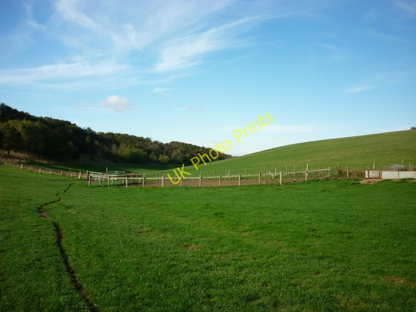 Photo 6"x4" Sheep pens in Swin Dale High Hunsley c2010
