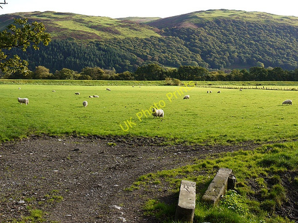 Photo 6"x4" Field in Dyffryn Dysynni Abertrinant c2010