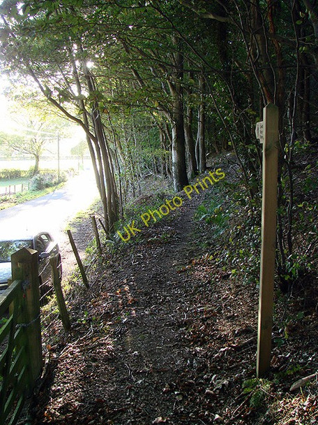 Photo 6"x4" The start of the path through Pant Da woods Nantyronen Station c2010