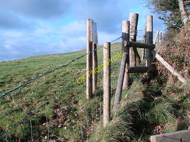 Photo 6"x4" The upper extent of Pant Da Nature Reserve Nantyronen Station c2010