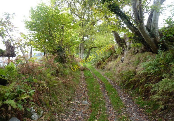 Photo 6"x4" The old road from Aber Cywarch to Cwm Cerist Aber-Cywarch c2010