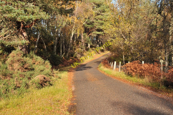 Photo 6"x4" Minor road near Dulsie Ferness c2010