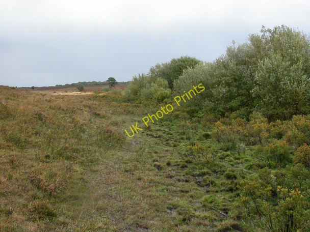 Photo 6"x4" Shatterford, Stephill Bottom Furzey Lodge c2010