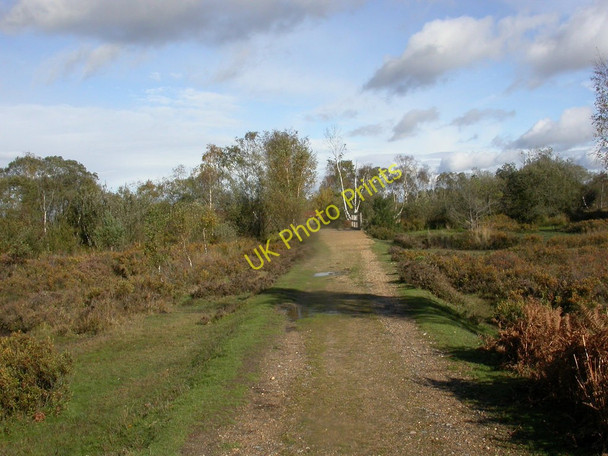 Photo 6"x4" Woodfidley Passage Furzey Lodge c2010