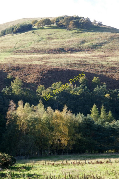 Photo 6"x4" Turnhouse Hill from Glencorse Woodhouselee c2010