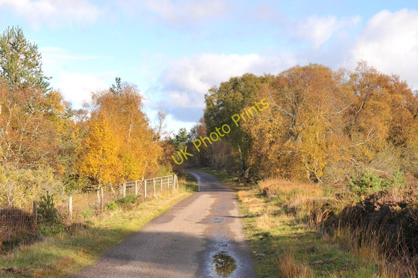Photo 6"x4" Minor road near Aitnoch Ferness c2010