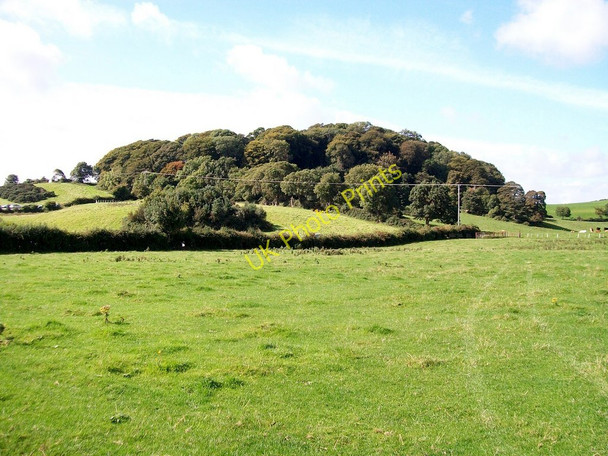 Photo 6"x4" Castle Woods from the A2 Belfast Road, Dundrum Dundrum\/J4036 c2010