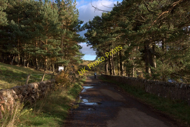Photo 6"x4" Road beside Glencorse Reservoir Coates\/NT2161 c2010