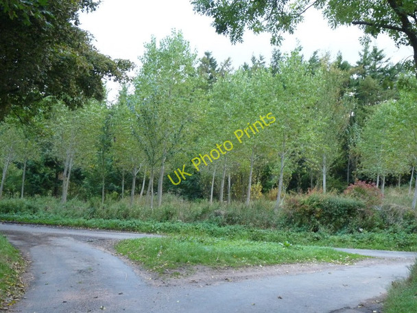 Photo 6"x4" Road Junction to Billiemains and Lintlaw Blanerne c2010
