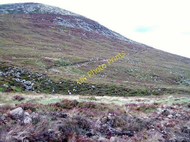 Photo 6"x4" The Crossone track Newcastle\/J3732 c2010