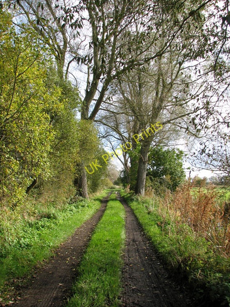 Photo 6"x4" Footpath in Beccles Marshes Beccles c2010