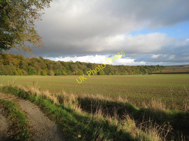 Photo 6"x4" View towards Grasby Bottoms Clixby c2010