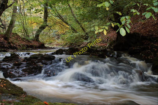 Photo 6"x4" Craighall Den Ceres c2010
