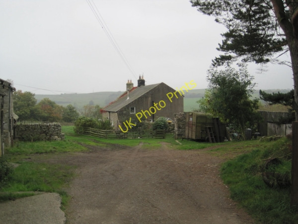 Photo 6"x4" Briarwood Farm Ridley\/NY7963 c2010