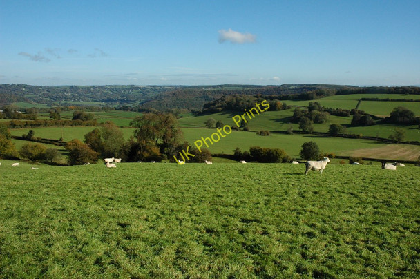 Photo 6"x4" View over the Wye Valley The Cot c2010