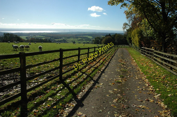 Photo 6"x4" Farm road to Gaer Hill Farm St Arvans c2010