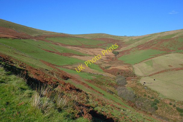 Photo 6"x4" Looking up Cwm Uchaf Abertrinant c2010