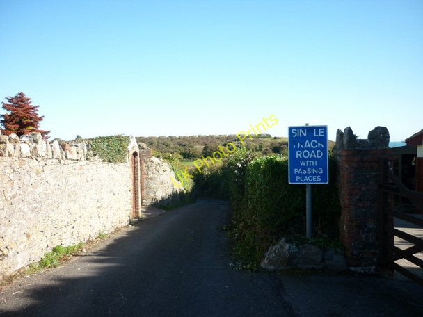 Photo 6"x4" The road to Berry Head Brixham c2010