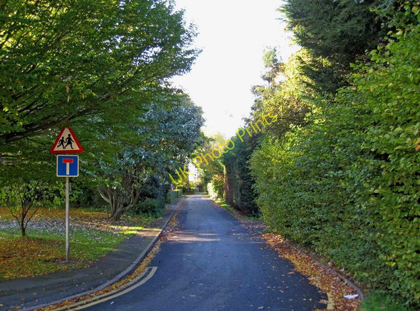 Photo 6"x4" School Road Cutnall Green c2010