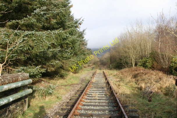 Photo 6"x4" Overgrown trackbed through old Llan Ffestiniog Station Llan Ffestiniog c2007